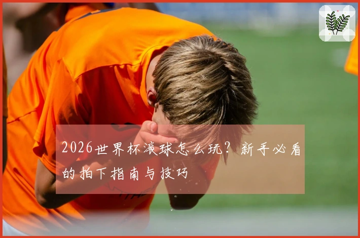 2026世界杯滚球怎么玩？新手必看的拍下指南与技巧