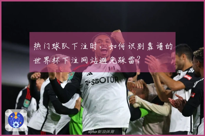 热门球队下注时，如何识别靠谱的世界杯下注网站避免踩雷？