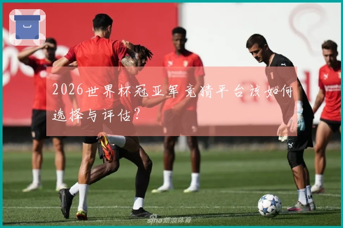 2026世界杯冠亚军竞猜平台该如何选择与评估？