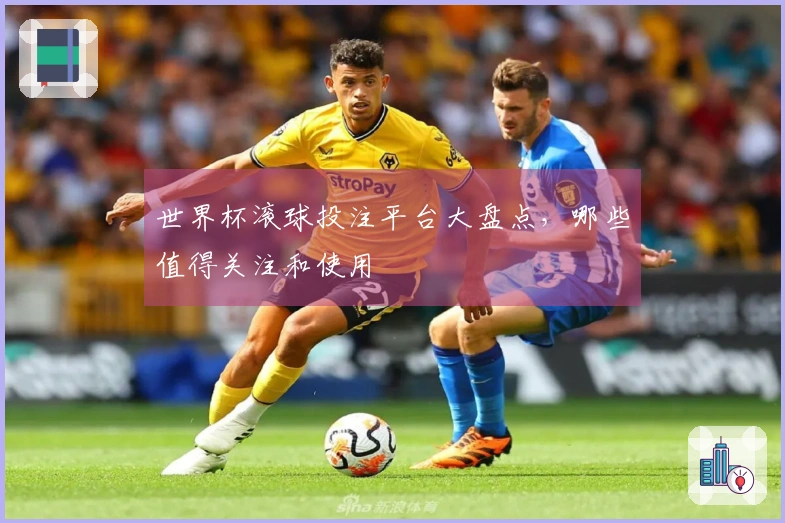 世界杯滚球投注平台大盘点，哪些值得关注和使用