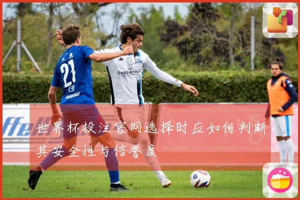 世界杯投注官网选择时应如何判断其安全性与信誉度