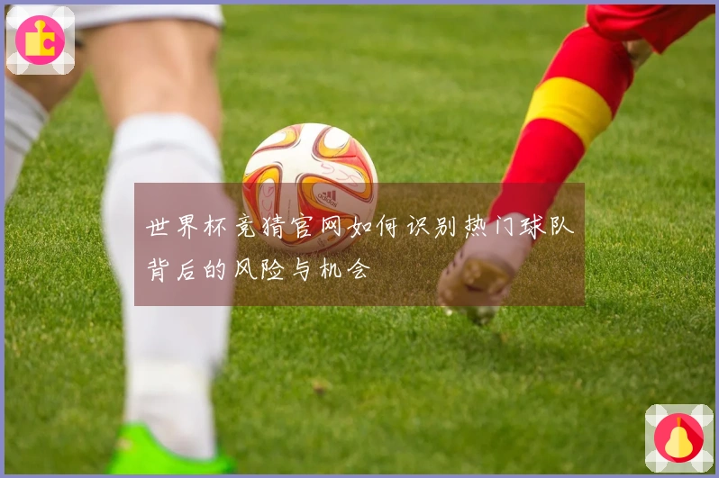世界杯竞猜官网如何识别热门球队背后的风险与机会