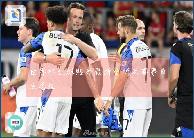 世界杯让球赔率最新分析及赛事看点总结