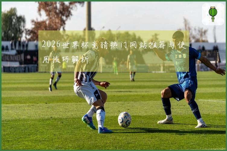2026世界杯竞猜热门网站推荐与使用技巧解析