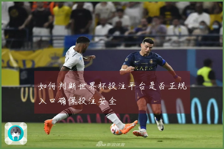 如何判断世界杯投注平台是否正规入口确保投注安全