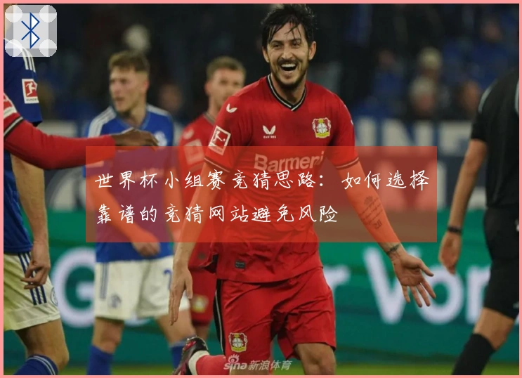 世界杯小组赛竞猜思路：如何选择靠谱的竞猜网站避免风险
