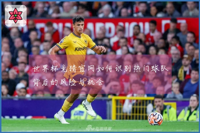 世界杯竞猜官网如何识别热门球队背后的风险与机会