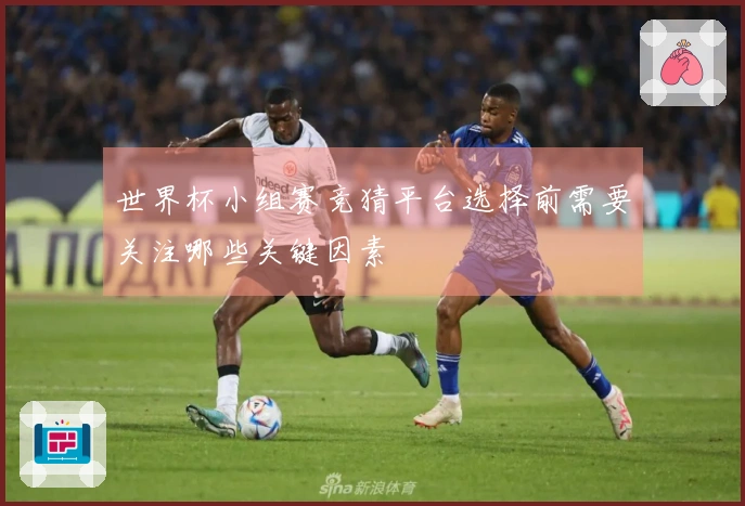 世界杯小组赛竞猜平台选择前需要关注哪些关键因素