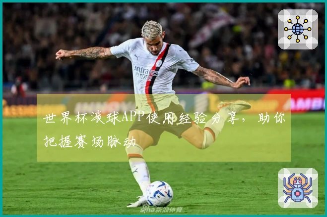 世界杯滚球APP使用经验分享，助你把握赛场脉动