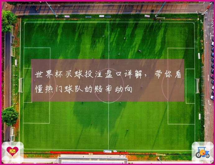 世界杯买球投注盘口详解，带你看懂热门球队的赔率动向