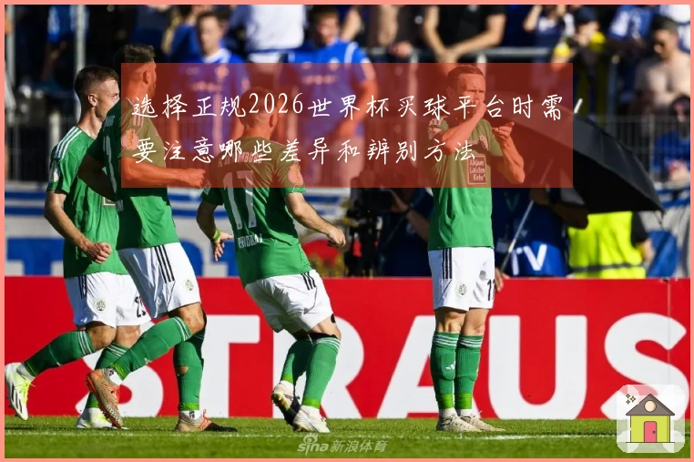选择正规2026世界杯买球平台时需要注意哪些差异和辨别方法