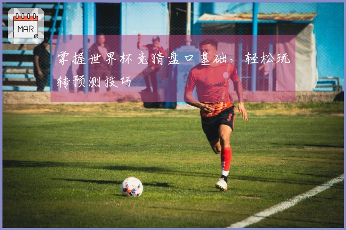 掌握世界杯竞猜盘口基础，轻松玩转预测技巧