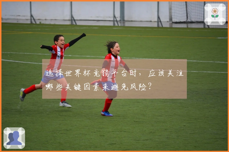 选择世界杯竞猜平台时，应该关注哪些关键因素来避免风险？