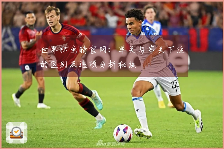 世界杯竞猜官网：单关与串关下注的区别及选项分析秘诀