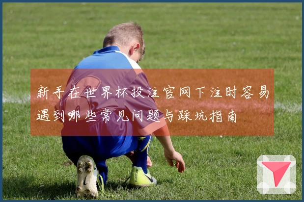 新手在世界杯投注官网下注时容易遇到哪些常见问题与踩坑指南