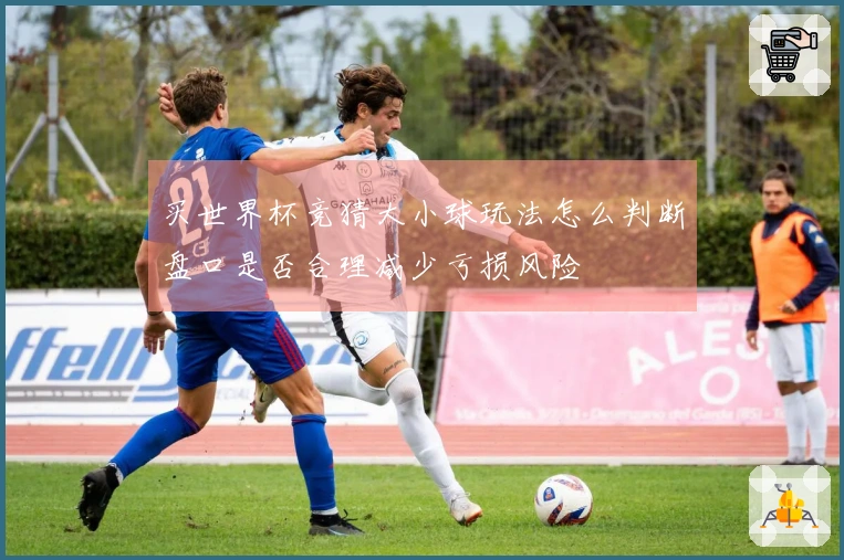 买世界杯竞猜大小球玩法怎么判断盘口是否合理减少亏损风险