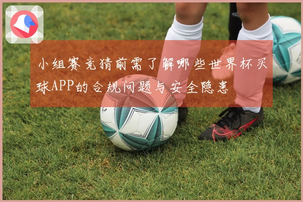 小组赛竞猜前需了解哪些世界杯买球APP的合规问题与安全隐患