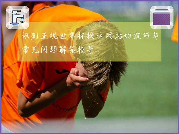 识别正规世界杯投注网站的技巧与常见问题解答指导
