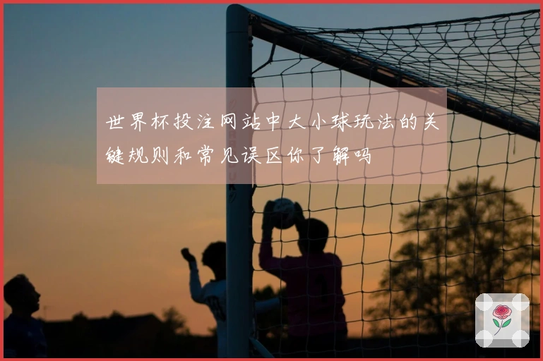 世界杯投注网站中大小球玩法的关键规则和常见误区你了解吗