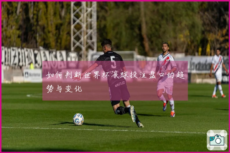 如何判断世界杯滚球投注盘口的趋势与变化