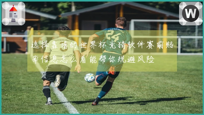选择靠谱的世界杯竞猜软件赛前赔率信息怎么看能帮你规避风险