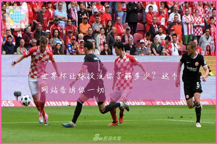 世界杯让球投注你了解多少？这个网站告诉你一切