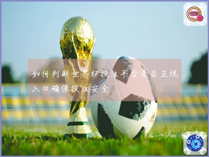 如何判断世界杯投注平台是否正规入口确保投注安全
