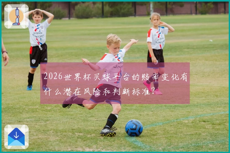 2026世界杯买球平台的赔率变化有什么潜在风险和判断标准？