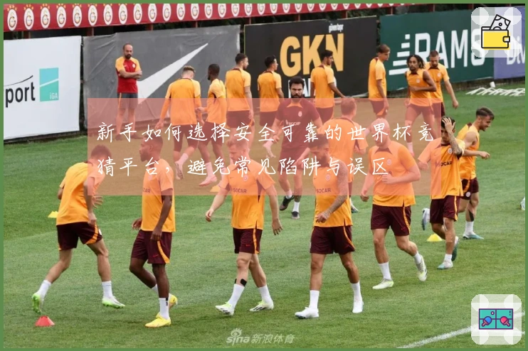 新手如何选择安全可靠的世界杯竞猜平台，避免常见陷阱与误区