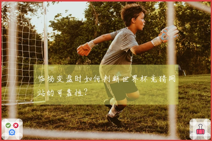 临场变盘时如何判断世界杯竞猜网站的可靠性？