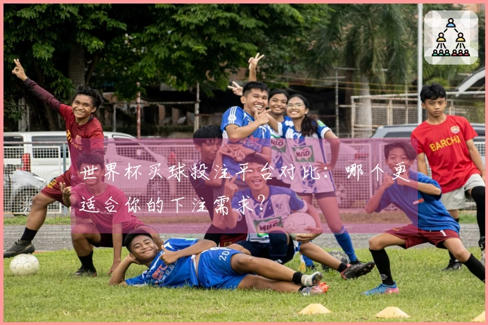 世界杯买球投注平台对比：哪个更适合你的下注需求？