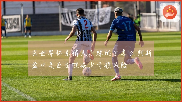 买世界杯竞猜大小球玩法怎么判断盘口是否合理减少亏损风险