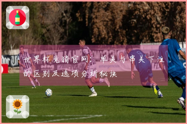 世界杯竞猜官网：单关与串关下注的区别及选项分析秘诀