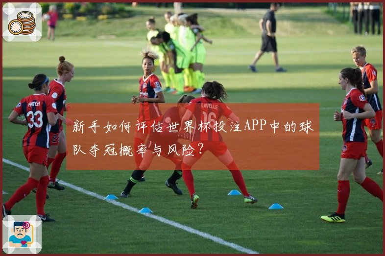 新手如何评估世界杯投注APP中的球队夺冠概率与风险？