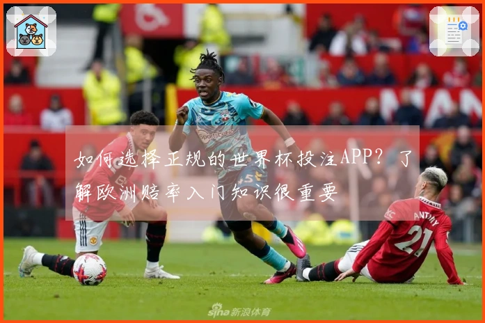 如何选择正规的世界杯投注APP？了解欧洲赔率入门知识很重要
