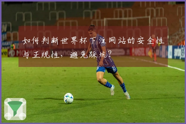 如何判断世界杯下注网站的安全性与正规性，避免踩坑？