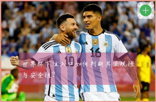 世界杯下注入口如何判断其正规性与安全性？