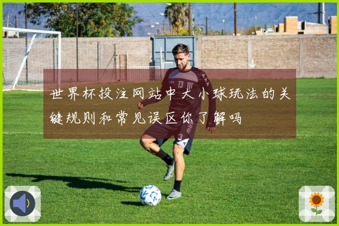 世界杯投注网站中大小球玩法的关键规则和常见误区你了解吗