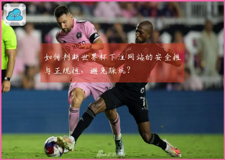 如何判断世界杯下注网站的安全性与正规性，避免踩坑？