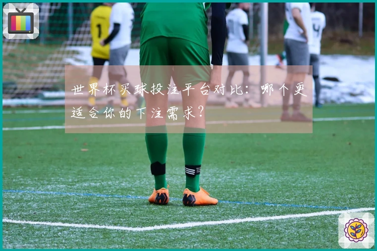 世界杯买球投注平台对比：哪个更适合你的下注需求？