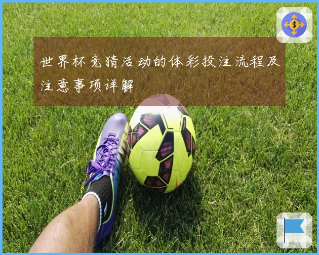 世界杯竞猜活动的体彩投注流程及注意事项详解